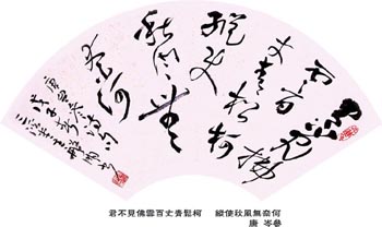 ������´��ڿ�ȫͼ���ͼ��Ctrl+�����ַŴ����С