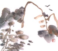 ������´��ڿ�ȫͼ���ͼ��Ctrl+�����ַŴ����С