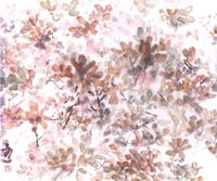 ������´��ڿ�ȫͼ���ͼ��Ctrl+�����ַŴ����С