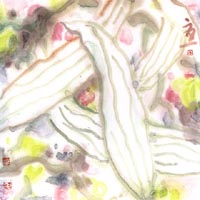 ������´��ڿ�ȫͼ���ͼ��Ctrl+�����ַŴ����С