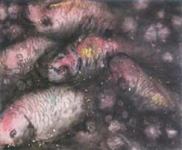 ������´��ڿ�ȫͼ���ͼ��Ctrl+�����ַŴ����С