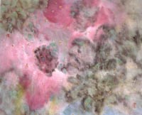 ������´��ڿ�ȫͼ���ͼ��Ctrl+�����ַŴ����С